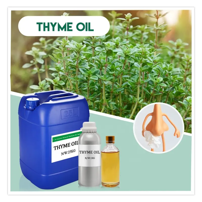 Huile de thym/huile de thym CT Thymol/huile essentielle de thym huile de thym CT Thujanol