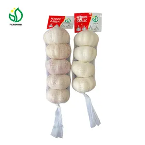 China Wholesale Fresh Red Garlic 10kg/bag 5.0-5.5cm garlic producers