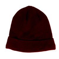 Bonnet unisexe en tricot uni avec revers, doublure isolante 3M, motif imprimé, logo de designer, pour homme et femme, idéal pour les voyages