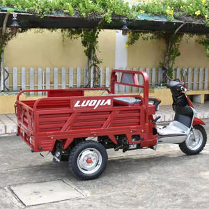 Triciclo de gasolina de 3 ruedas para carga, motocicleta de <span class=keywords><strong>125cc</strong></span> - Product Image 2