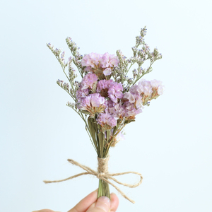 Elegante Mini Ramo <span class=keywords><strong>de</strong></span> Flores Secas Naturales <span class=keywords><strong>con</strong></span> Técnica <span class=keywords><strong>de</strong></span> Secado Natural <span class=keywords><strong>para</strong></span> Decoraciones <span class=keywords><strong>de</strong></span> Bodas, Navidad, Pascua y <span class=keywords><strong>Cumpleaños</strong></span> - Product Image 1