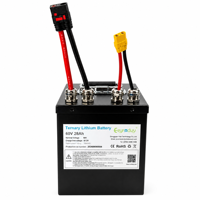 Baterai Lithium Kustom 60V 28Ah 1680Wh NMC Casing Logam untuk Sepeda Motor Listrik, Sepeda Komuter Perkotaan, Kendaraan Mobilitas Pribadi