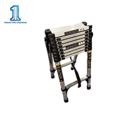 Échelle télescopique en acier inoxydable de type A, design industriel, avec extension de 3,5+3,5 m, pliable, pour usage domestique et construction.