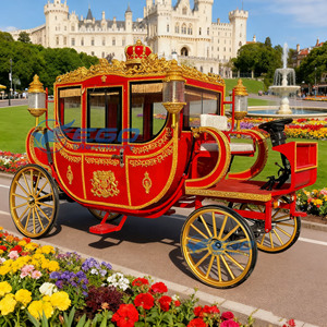 Chariot électrique royal pour mariages et visites touristiques, modèle best-seller, fabriqué par le fabricant, à vendre - Product Image 2
