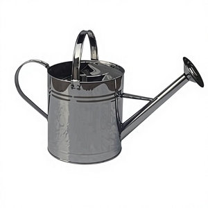 Regadera de Metal Galvanizado con Boquilla Larga y Cabezal de Rosca para Riego Suave desde Arriba en el Jardín, Perforada - Product Image 1