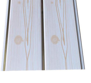 Pannelli per Controsoffitto in PVC Impermeabili su Misura, Moderni e Leggeri, Insonorizzati per Uso Domestico, Soggiorni e Cucine - Product Image 6