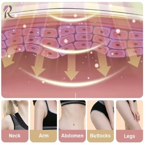 Máquina de masaje vibratorio para terapia muscular, dispositivo portátil eléctrico de percusión de tejido profundo para hombres y mujeres, uso doméstico - Product Image 2