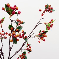 Kunstfruit, geluksfruit, kleine granaatappel, rode bessen, acaciabloemen, decoratie voor de eettafel in huis