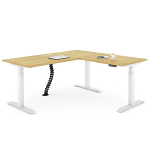 Ergonomic 2 Chân Đứng Bàn Chiều Cao Manual Bàn Điều Chỉnh Khung Với Manual Nâng Cơ Chế Máy Tính Thông Minh Bàn - Product Image 6