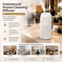 Diffuseur d'huiles essentielles sans eau, aromathérapie de luxe, huile essentielle pour la maison, l'hôtel, la salle de bain, OEM ODM, parfum personnalisé, machine à parfum