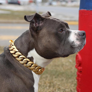 Goldene Hundehalskette aus Metall für das Haustiertraining, Würgehalsband für kleine und mittelgroße Hunde, Zubehör aus Edelstahl, kubanische Gliederkette für Bulldoggen, 32 mm BÄNDER - Product Image 6