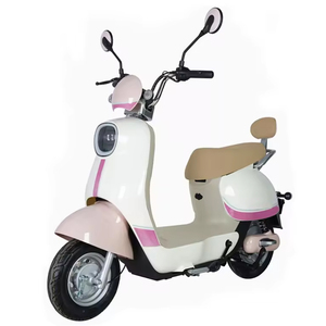 <span class=keywords><strong>2020</strong></span> <span class=keywords><strong>2021</strong></span>จักรยานไฟฟ้าวิบาก500W 14นิ้วสำหรับผู้ชายในสหราชอาณาจักรคลังสินค้ายุโรปและเปรูชิลีสหรัฐอเมริกาแคนาดา - Product Image 5