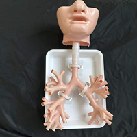 Simulateur de formation en bronchoscopie - Modèle d'arbre bronchique humain pour la formation médicale respiratoire