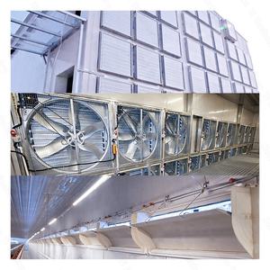 Nuevo Equipo Automático Zhuoyi Tipo H para Cría de Gallinas Ponedoras, Jaula de Zinc Galvanizado en Caliente con Recolección Automática de Huevos, Bajo Consumo de Energía - Product Image 3