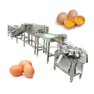Automatic duck eggs cleaning drying sterilization production line egg processing washing machine