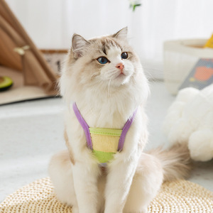 <b>Pet</b> <b>Harness</b> Rainbow Stripes Cloud Design Breathable Small Dog Cat Summer Wear - Product Image 2