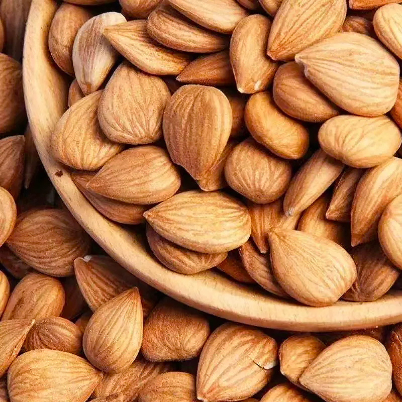 Premium High Quality Dry Roasted China