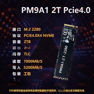 Ổ cứng thể rắn M.2 cho máy tính xách tay và máy tính để bàn PM9A1-2T-2280 - Product Image 4