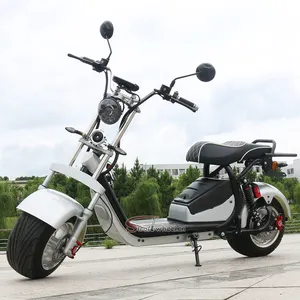 two wheel EEC citycoco scooter 2000w 60v 20ah battery Powerful fast Citycoco electric scooters bike For Adult smart steps
