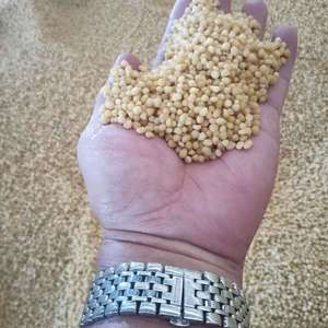 Diammonium Phosphate DAP 18 Nitơ 46 phốt pho NPK18-46-0 (NH4) 2hpo4 phân bón nông nghiệp cho cây trồng và rau quả - Product Image 4