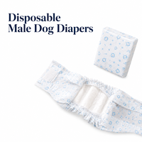 Bandes Abdominales Jetables pour Chiens Mâles, Haute Absorption, pour Incontinence Urinaire, Emballage Personnalisé Disponible