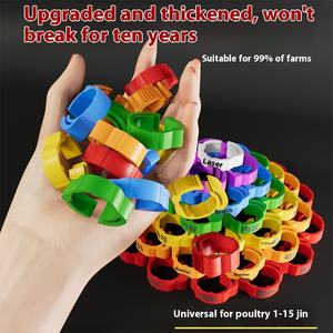 Renda Plastic Gevogelte Voetring Kip/Eend/Ganzenmerk Identificatiering Met Gesp Type Drager Voor Duivenmodel RD-10-588 - Product Image 2