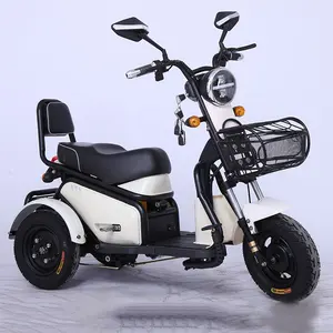 3 wheels bike pedal assisted electric tricycle with lithium battery