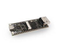 Papan Pengembangan Sipeed Litchi Candy Tang Nano 4K HiSilicon FPGA GoAI