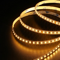 Tira de Luz LED Flexible de 10 mm, DC24V 12V, IP20, Personalizable, para Proyectos Comerciales, Centros Comerciales, Hogar, Oficina, Decoración de Árboles de Navidad