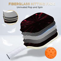 Ensemble de raquettes de pickleball best-seller d'usine, 2 raquettes en fibre de verre de haute qualité et durables, 4 balles portables, best-seller