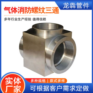 Tés réducteurs filetés forgés galvanisés sur mesure Dn15 Dn20 Dn25 Dn32 Dn40 Dn50 Dn65 Dn80 Dn100 Dn125 Dn150 pour applications incendie - Product Image 5