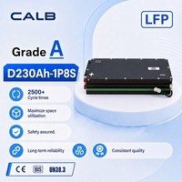 Module CALB 230AH-1P8S 25.6V 230Ah LiFePO4 5.88kWh avec BMS FPC prêt pour système de batterie de véhicule électrique