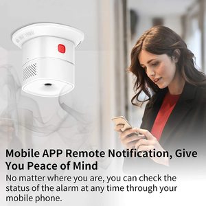 Wholesale EN 50291Certified Standalone CO <strong>Gas</strong> Leak Alert <strong>Detector</strong> Monoxide <strong>Detectors</strong> for Kitchen Use - Product Image 5