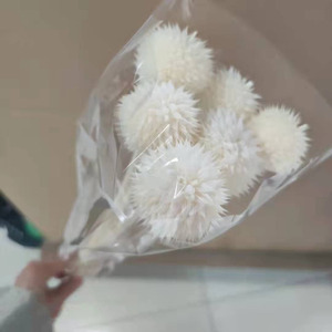 Bouquet <span class=keywords><strong>séché</strong></span> Fleurs préservées Colorées Leonotis Snow Echinops Thistle pour arrangement floral - Product Image 3