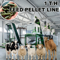 RICHI Ligne de production de granulés d'aliments pour animaux - Fabricants de lignes de production d'aliments pour volailles - Machine de production d'aliments pour animaux 1 tonne par heure - Usine Allemagne
