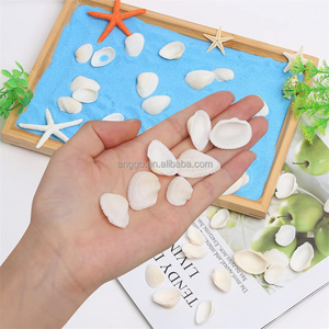 Conchas Marinas Naturales Pequeñas y Blancas para Manualidades, Decoración, Fiestas en la Playa, Relleno <span class=keywords><strong>de</strong></span> Peceras, Accesorios para Pulseras - Product Image 4