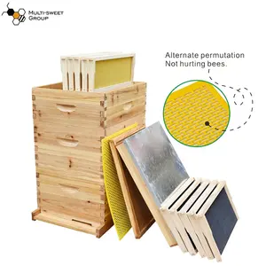Ruche Langstroth enduite de cire Kit complet de ruches à 10 cadres Équipement d'apiculture Boîte de ruche d'abeilles en bois pour abeilles