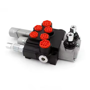 คู่มือ P40-G12-G38-0T-QTW1 วาล์วแม่เหล็กไฟฟ้า วาล์วไฮดรอลิกแบบติดฉลากส่วนตัว ร่วมมือกับเราเพื่อสร้างแบรนด์ของคุณ - Product Image 1