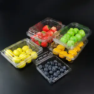 disposable clear fruit clamshell packaging box plastic rpet/pet fruit packing containers recycled clamshell container for fruits