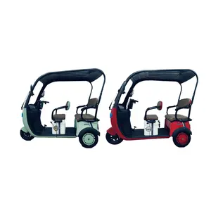 中国价格800w折叠人力车远程封闭货物2座踏板车便宜3轮折叠电动乘客三轮车