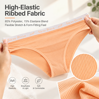 Sous-vêtements pour femmes, séchage rapide, respirant, élastique, imprimé, ceinture confortable, culottes pour tous les jours, vente en gros de lingerie pour femmes