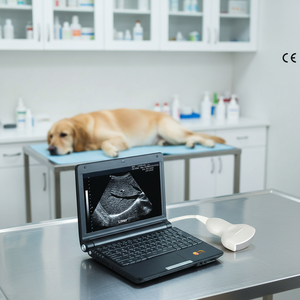 Ecografo Veterinario Portatile Economico SUN 808S con Display da 10,4 Pollici a Basso Costo per Diagnosi di Bovini, Ovini ed Equini - Product Image 1