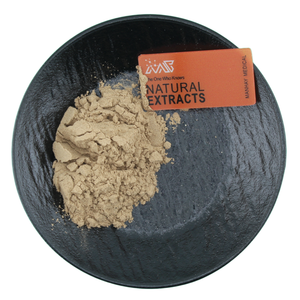 Extrait de racine de <span class=keywords><strong>kiwi</strong></span> naturel en poudre, fourni par le fabricant - Product Image 1