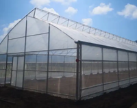 Serre de jardin Baolida 9x30m avec toit ventilé de 5m de hauteur, structure à pignon croisé et moustiquaire pour climats chauds