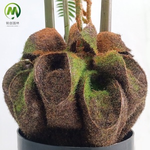 Grande Pianta Artificiale di Felce Bracken <span class=keywords><strong>in</strong></span> <span class=keywords><strong>Vaso</strong></span>, Foglie Verdi di Felce <span class=keywords><strong>in</strong></span> Contenitore, Bonsai Artificiale di Felce - Product Image 4