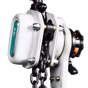 0.75 Ton 1.5M Alat Angkat Manual Tuas Rantai Berat dengan Baja Kokoh untuk Instalasi Struktur di Lokasi Konstruksi - Product Image 2