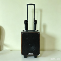 Valise mobile rétro de 8 pouces avec haut-parleurs tweeter de 1 pouce, compatible avec un microphone sans fil