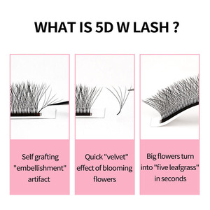 Extensions de <span class=keywords><strong>cils</strong></span> en forme de W en gros, <span class=keywords><strong>cils</strong></span> croisés <span class=keywords><strong>5D</strong></span> W Clover, plateaux de <span class=keywords><strong>cils</strong></span> à marque privée - Product Image 3
