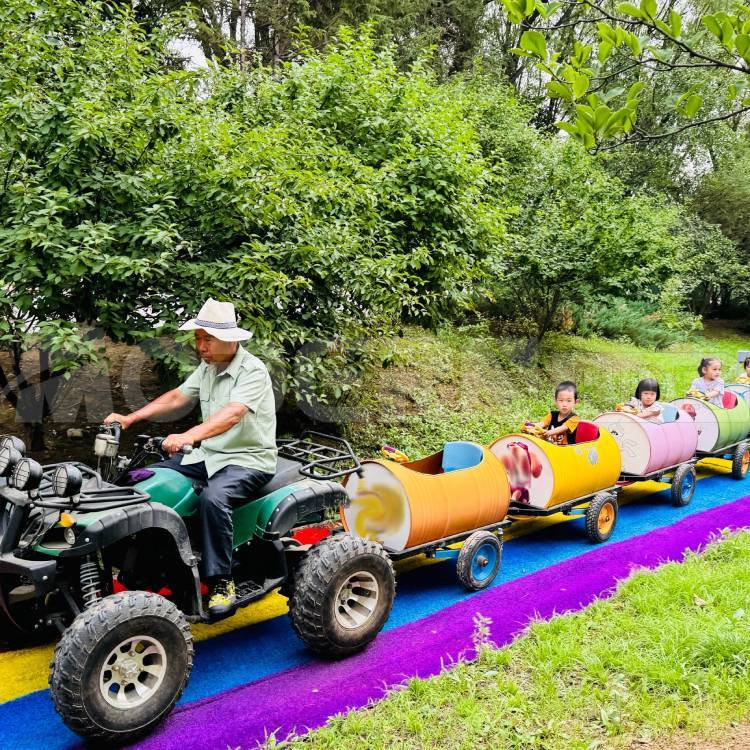 Outdoor Park Electric Train Ride On