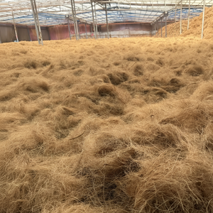 Fibre de noix de coco traitée pour le remplissage du matelas, l'utilisation artisanale, le paillis biologique et les solutions de contrôle de l'érosion - Product Image 1